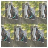 Tissu de chèvre (Échantillon)