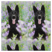 Tissu de chien ! (Fermer)