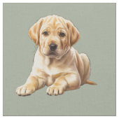 Tissu de chien Retriever Labrador jaune (Fermer)