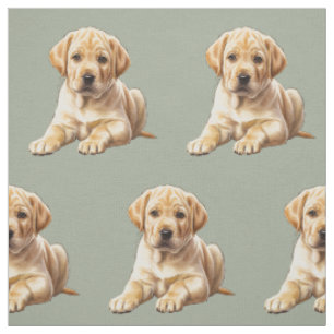 Tissu de chien Retriever Labrador jaune