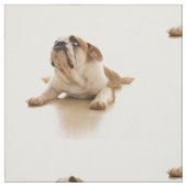 Tissu de chiot Bulldog (Échantillon)