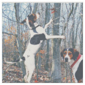 Tissu de Coonhound de marcheur de Treeing à hurler (Fermer)