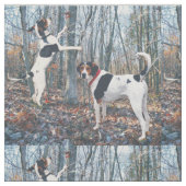 Tissu de Coonhound de marcheur de Treeing à hurler (Échantillon)