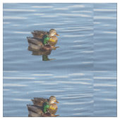 Tissu de couples de canard de Mallard (Fermer)