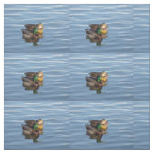 Tissu de couples de canard de Mallard (Échantillon)