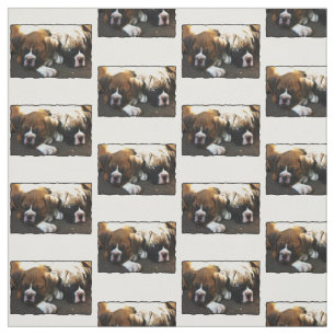 Tissu de coutume de chiot de boxeur