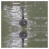 Tissu de cygne noir (Fermer)