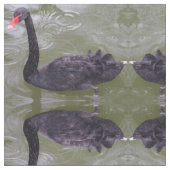 Tissu de cygne noir (Fermer)