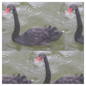 Tissu de cygne noir (Fermer)