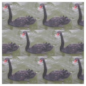 Tissu de cygne noir (Échantillon)
