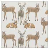 Tissu de famille de cerfs communs coupé la queue (Fermer)
