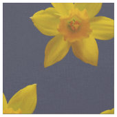 Tissu de fleur de jonquille (Fermer)