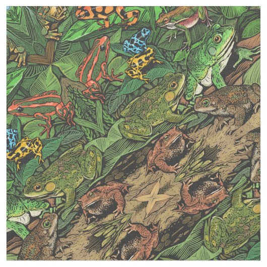 Tissu de grenouilles et de crapauds (Fermer)