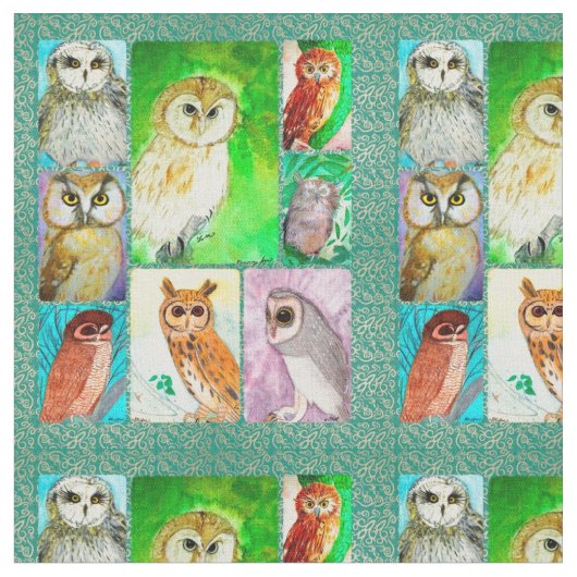 Tissu de hibou (Fermer)
