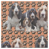 Tissu de la coque des actifs (Fermer)