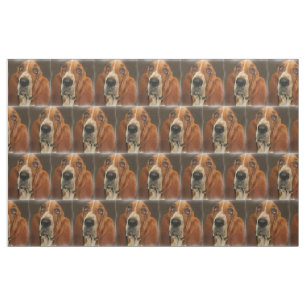 Tissu de la race de chien de Basset Hound