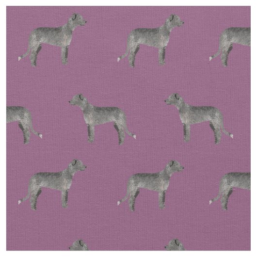 tissu de loup d'Irlande violet (Fermer)