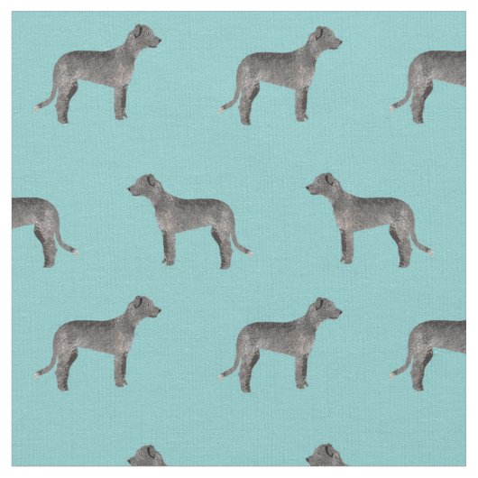 tissu de loup irlandais bleu clair (Fermer)