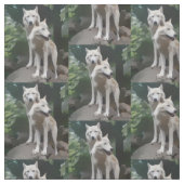 Tissu de loups sauvages (Échantillon)