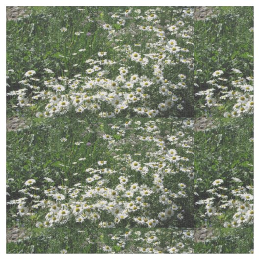tissu de marguerite (Fermer)