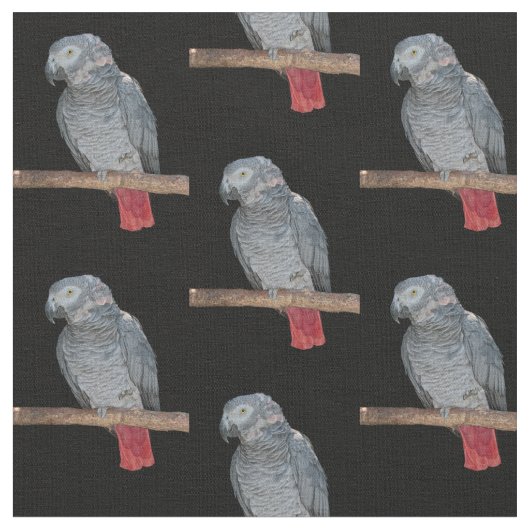 Tissu de perroquet de Pesky (Fermer)