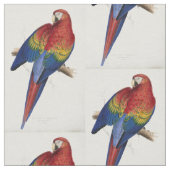 tissu de perroquet macaw de belle couleur (Fermer)