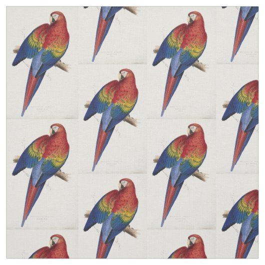 tissu de perroquet macaw de belle couleur (Échantillon)