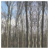 Tissu de photo de forêt d'hiver (Fermer)