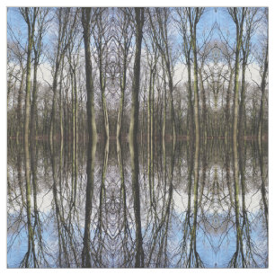 Tissu de photo de forêt d'hiver
