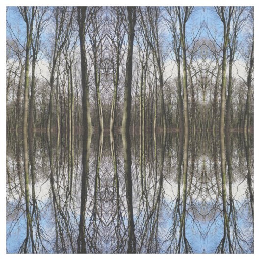 Tissu de photo de forêt d'hiver (Échantillon)