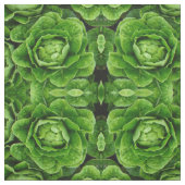 Tissu de photo de laitue de Romaine (Échantillon)