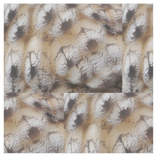 Tissu de plumes de hibou (Fermer)