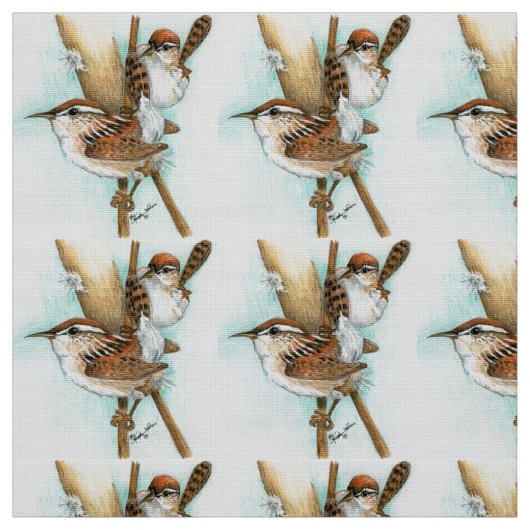 Tissu de roitelet (Échantillon)