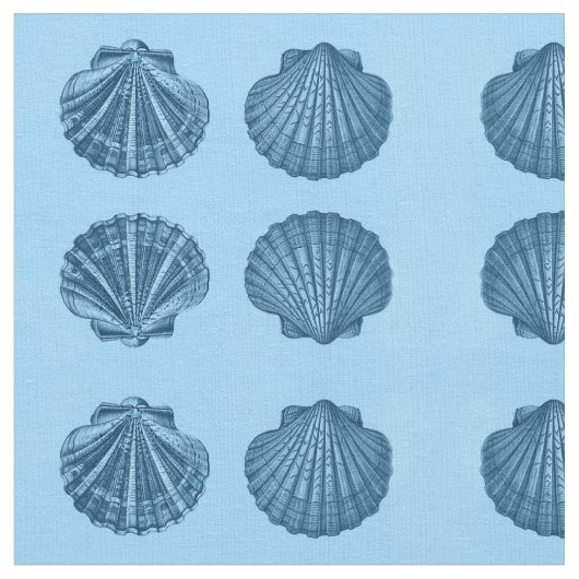 Tissu de Shell de mer (Fermer)