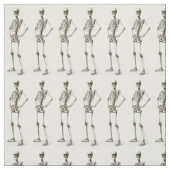 Tissu de squelette (Échantillon)