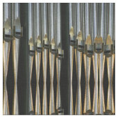 Tissu de tuyaux d'organe (Fermer)