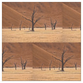 Tissu Dead Vlei, Namibie (Fermer)