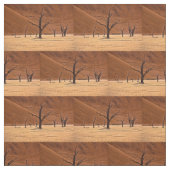 Tissu Dead Vlei, Namibie (Échantillon)