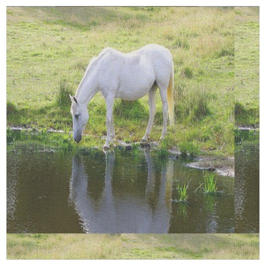 Tissu d'eau potable de cheval blanc (Fermer)