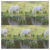 Tissu d'eau potable de cheval blanc (Échantillon)