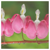 Tissu Défenseurs de la veuve et de l'orphelin dans le (Échantillon)