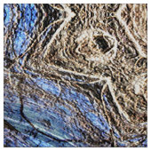 Tissu Dentelle d'arbre.... (Échantillon)