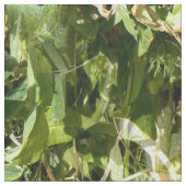 Tissu Dentelle de pois doux..... (fermé)