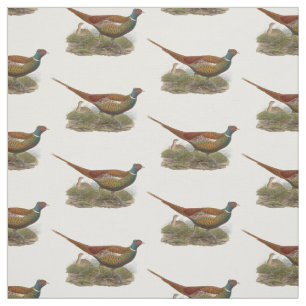 Tissu Dessin coloré d'oiseau de gibier faisan vintage