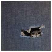 Tissu Dessin mignon d'écureuil de vol (Fermer)