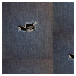 Tissu Dessin mignon d'écureuil de vol