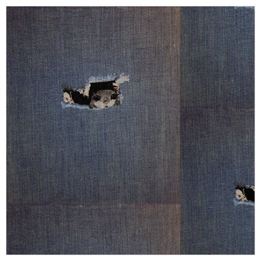 Tissu Dessin mignon d'écureuil de vol (Échantillon)