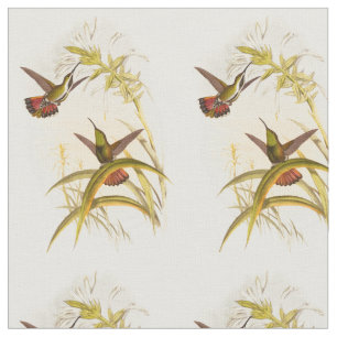 Tissu Deux colibris colorés visant pour la même fleur