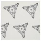 Tissu Diatomée (Échantillon)