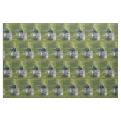 Tissu Dingue (Fat Quarter)